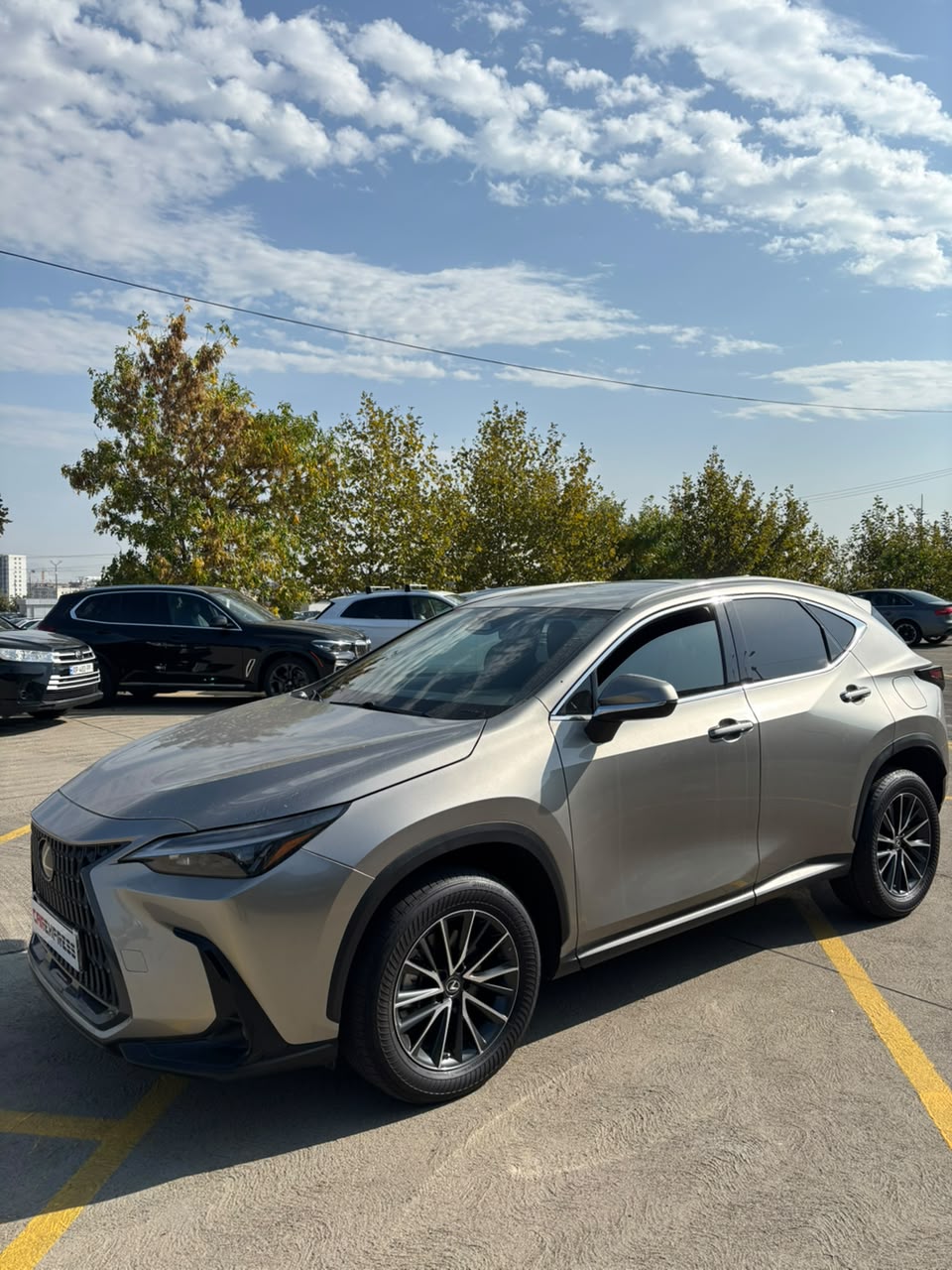 Lexus Nx350 Lexus Nx350